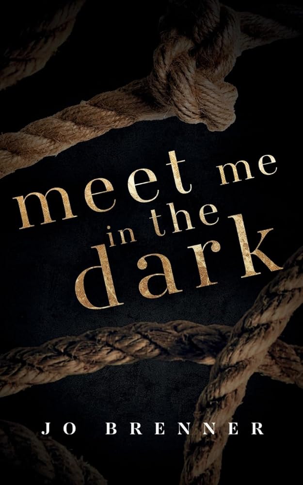 Meet Me In The Dark (Bad Heroes) cover image