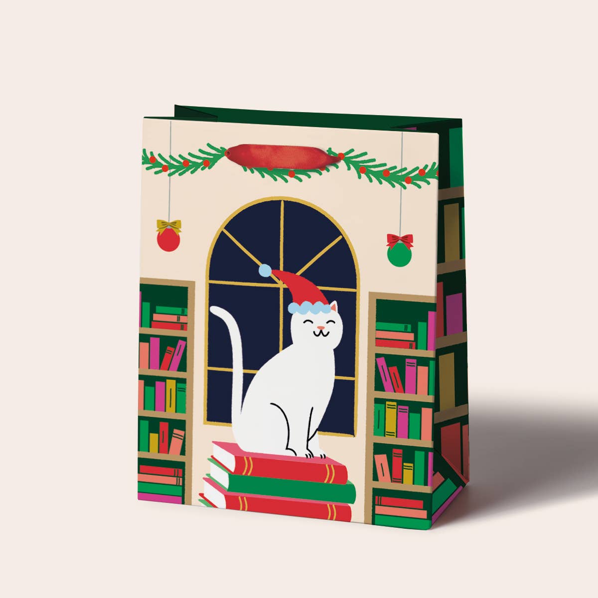 Book Stack Cat Gift Bag
