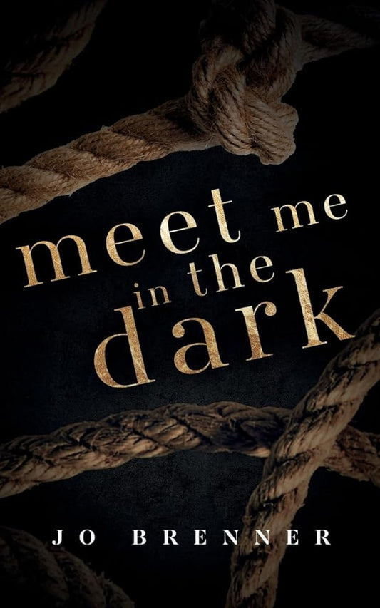 Meet Me In The Dark (Bad Heroes) cover image