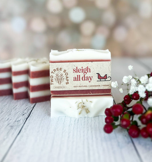 Sleigh All Day - Natural Handmade Bar Soap