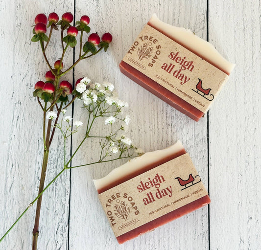 Sleigh All Day - Natural Handmade Bar Soap
